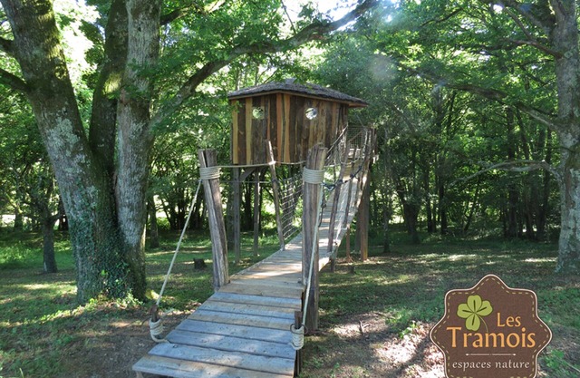 Perched guest room