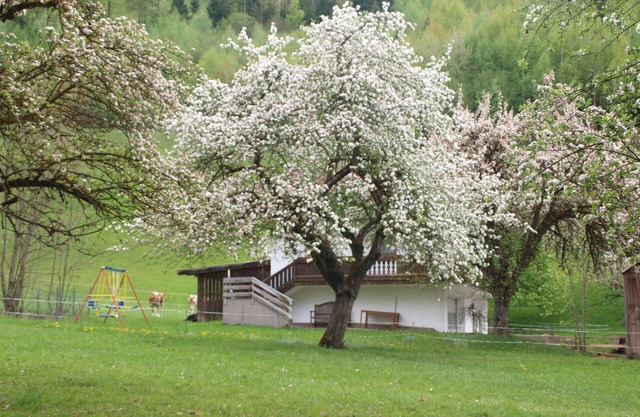 PERFECT HIDEAWAY House of nature - a luxury Chalet in a very idyllic area