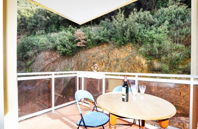 Pet friendly apartment