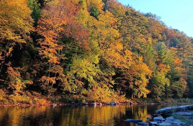 Pet friendly 4 br home on 6.5 acres w access to swim & fishing area -sleeps 10