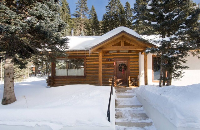 Pet-Friendly Cabin, close to Mountain Stream and Ski Return Trail