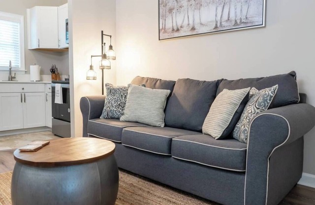 Pet-Friendly Cozy Studio Downtown
