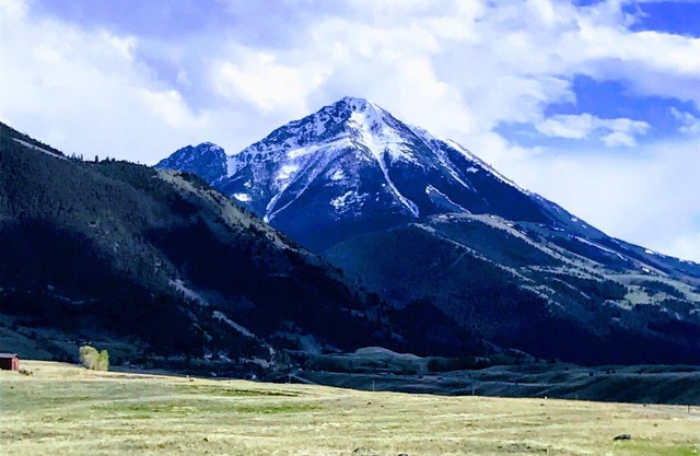 Pet friendly Emigrant Pk Cabin 30 mins - Yellowstone. 5 mins to Chico ht springs