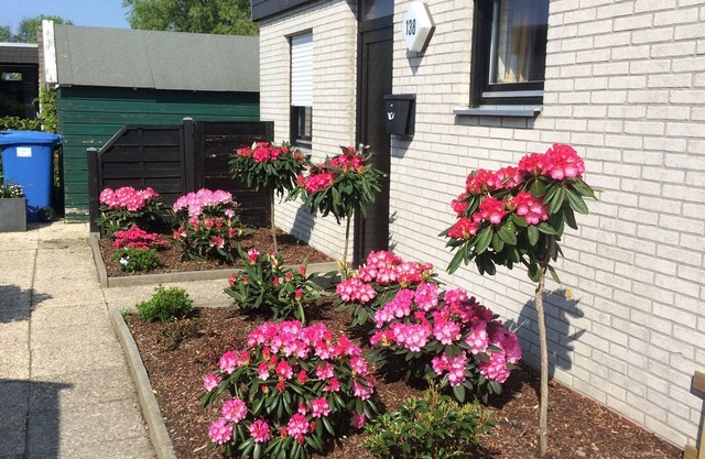 Pet-friendly "holiday home-to-Friesenheimat"