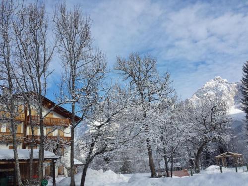 Petit Chalet