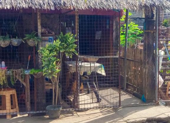 Phielle In-Home Calayo House Rental