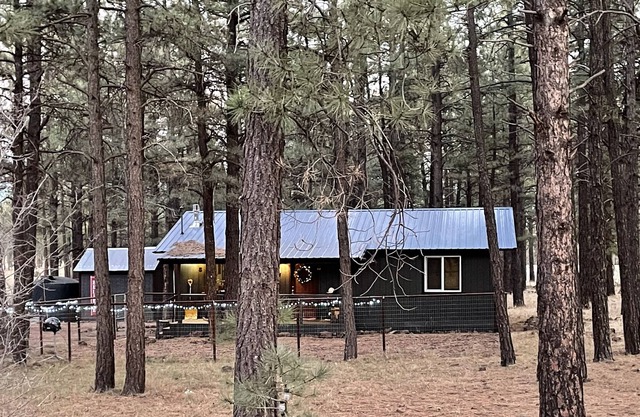 Picturesque Cabin in the Woods near Flagstaff and Grand Canyon