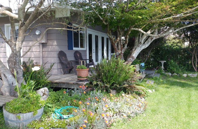 Pilot Rock Cottage - Ocean view and great home base for exploring the area
