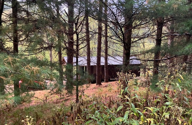 Pine Grove Cabin 30 acres of woods, meadows, pond and creek near Amish Country