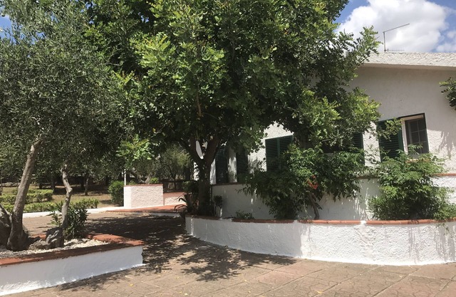 Pisticci: house/villa - Pisticci