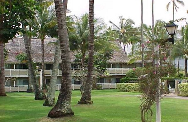 Plantation Hale G-11 - Soak up the Sunshine in Paradise!