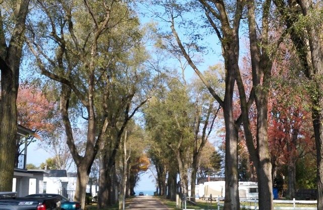 Plantation Motel