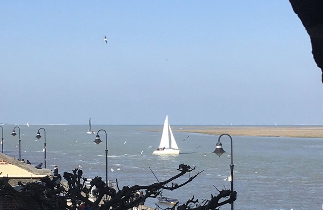 Pleine Vue Baie - 6 à 12 Pers. 3 sdb - 4 ch. - 2 Cuisines