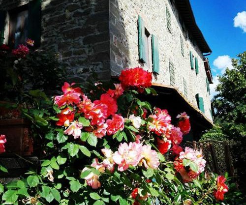 Podere I Rovai-apt IL RIFUGIO- in the heart of Tuscany
