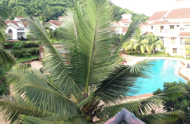 Pool Facing two Bedroom Duplex Apartment in Baga/Arpora/Anjuna(1207)
