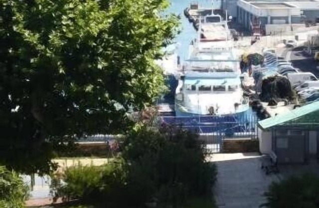 Port-Vendres - Collioure: cosy 2 rooms, 592 sqf, 4-6 pers, sea et harbour views