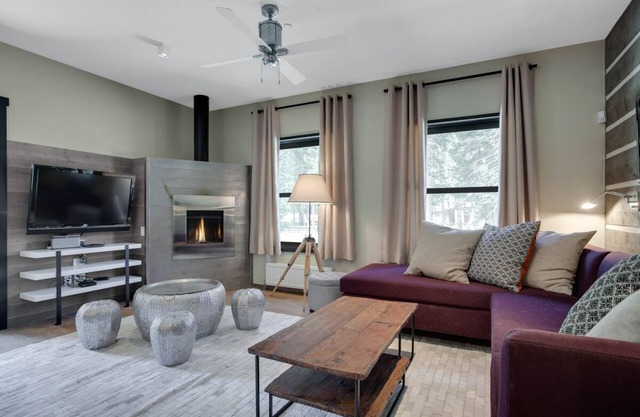 Posh, Pet-Friendly Chalet with Fireplace, WiFi