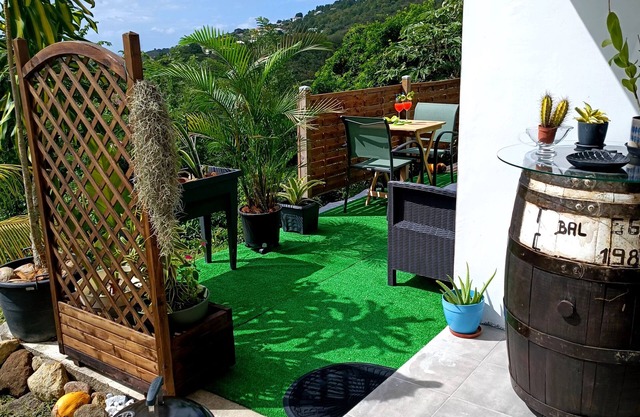 Poz Tropicale