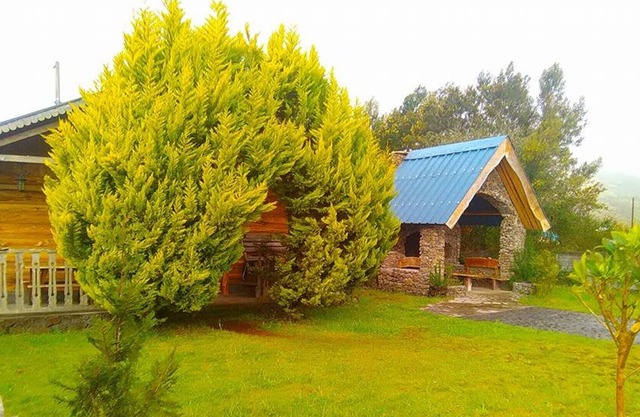 Pretty chalet and bungalow on the volcano road, quiet and relaxing place ...