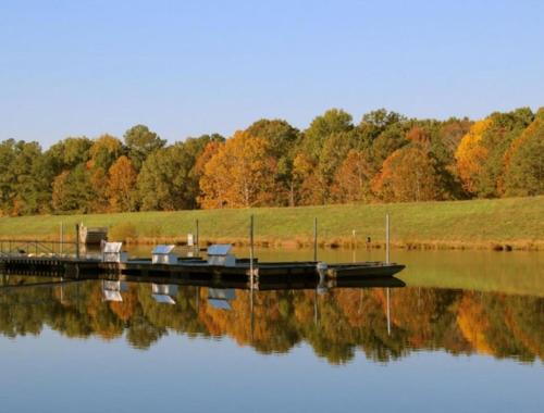 Prime Cary Spot Near Fenton, Downtown & WakeMed