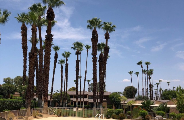 Private 2 Br 2 Ba End Unit in Ironwood CC