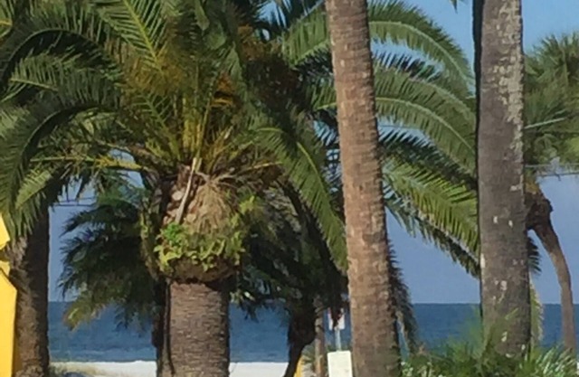 PRIVATE COTTAGE OCEAN VIEW 44 PACES TO BEACH, CLOSE TO RESTAURANTS AND SHOPS
