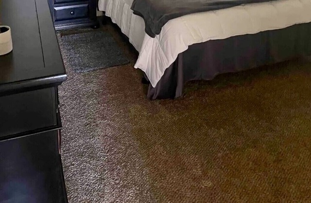 Private entrance 1 BR with beautiful view
