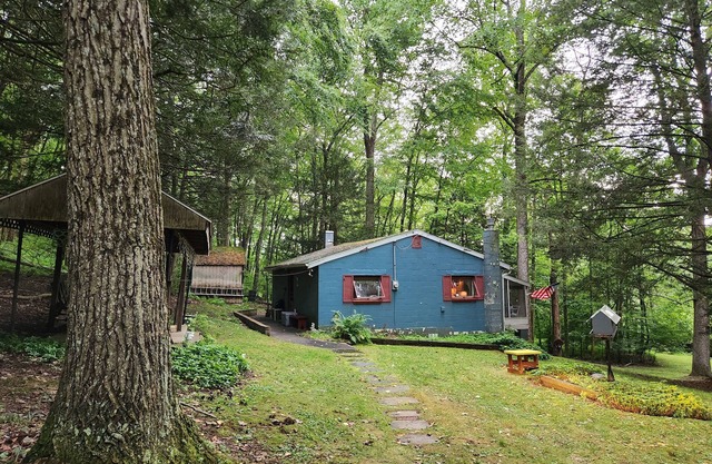Private rustic cabin in New Ringgold