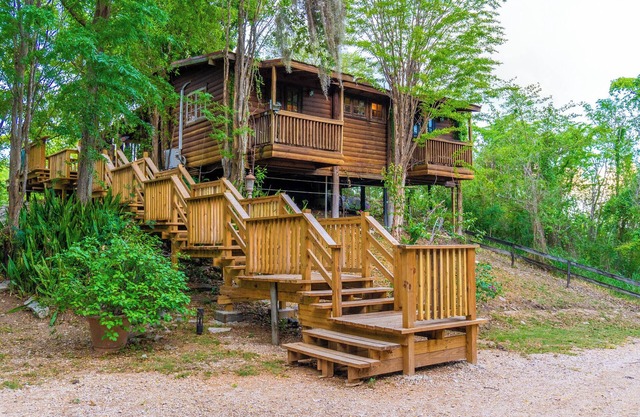 Private Unique Cabin: Unmatched Comfort & Nature