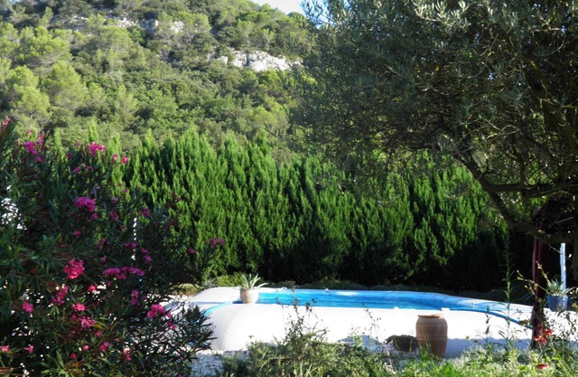 PROMO House with large swimming pool and fenced garden, riverside, direct access