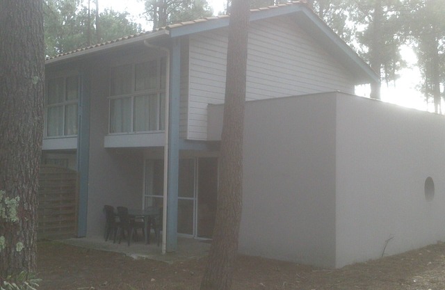 PROMO - Villa in the pine forest