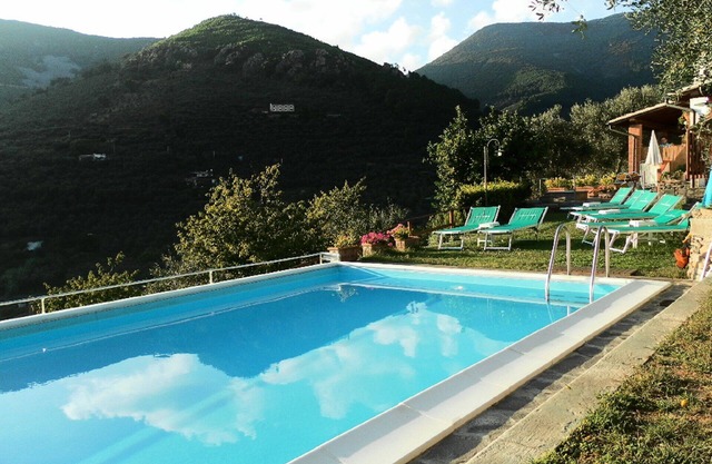 Promotion Typical Tuscan house surrounded by olive trees
