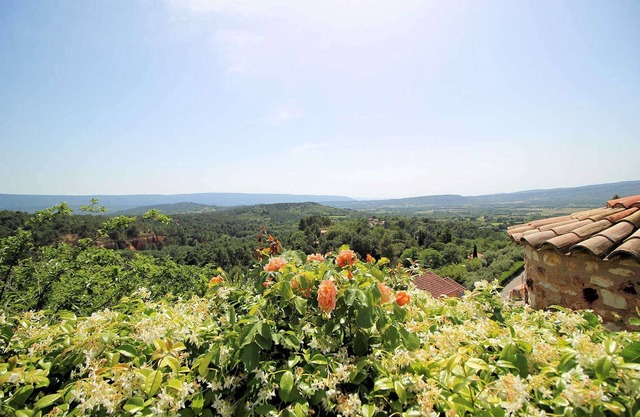 Property in the heart of the Luberon in an exceptional setting, dog allowed (1).