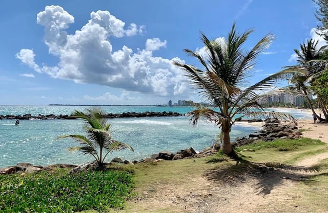 Puerto Rico 1 Bed Beach Rental w Pool Otium Rentals