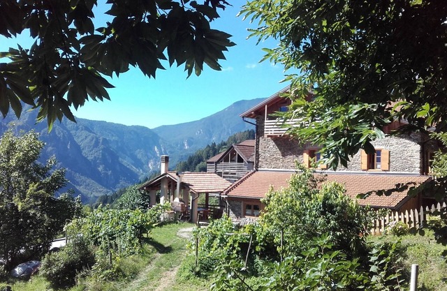 Pure nature in Trentino - apartment with terrace & mountain views near Lake Caldonazzo!