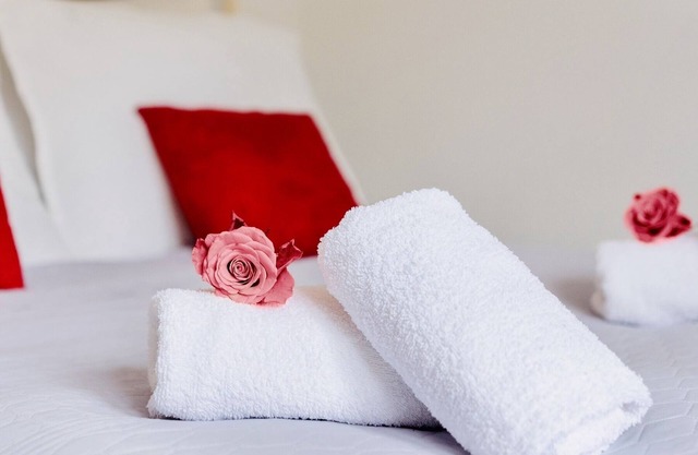 Queen's apartment in Warsaw