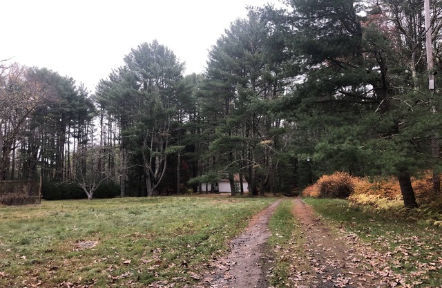 Quiet 4 Bedroom House with Lake Views on large field - perfect for family breaks