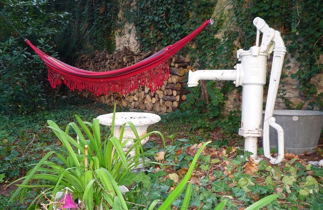 Quiet apartment in the city center with very large garden with trees