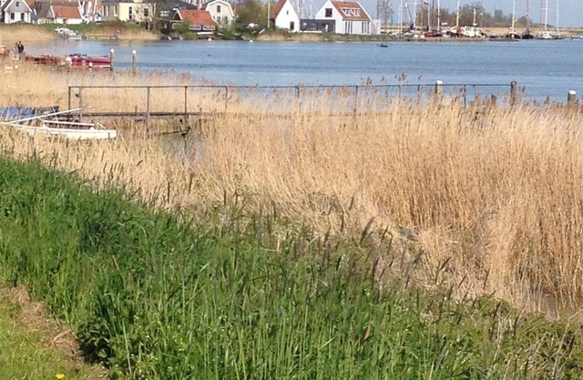 quiet studio on the IJsselmeer