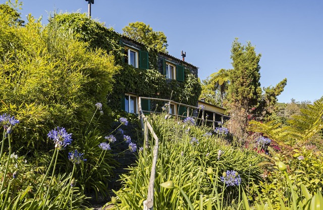 Quinta Devónia - Nogueira, with sea view
