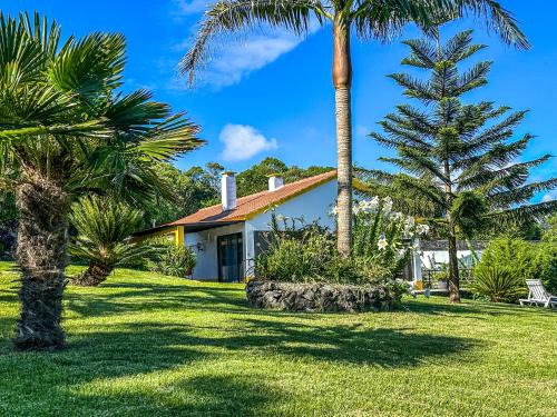 Quinta do Ananás Pineapple Farm