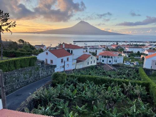 Quinta Peixinho RC DT