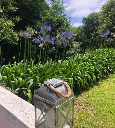 Quintinha de Palmyra