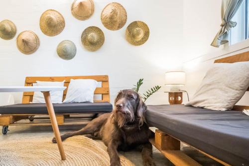 Rainforest Nest - KAHILOM, SAYA, JIVA Nest with Self-Service Breakfast, Outdoor Dining, Bats!