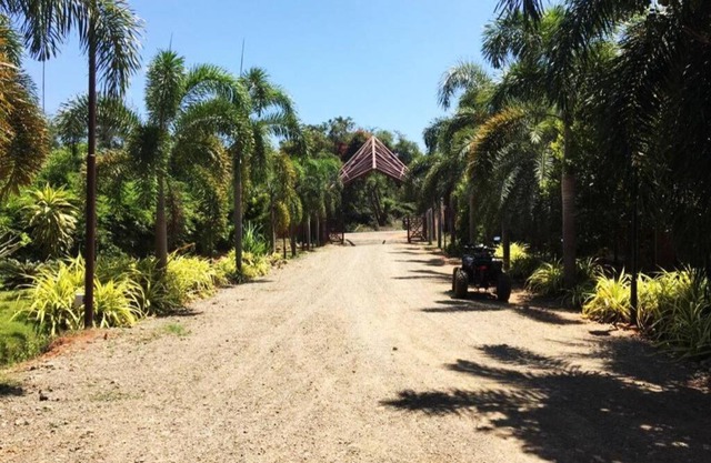 Rare secluded studio in Auroville, amidst nature!