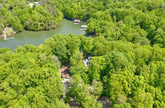 REEL RELAXIN - PET FRIENDLY!