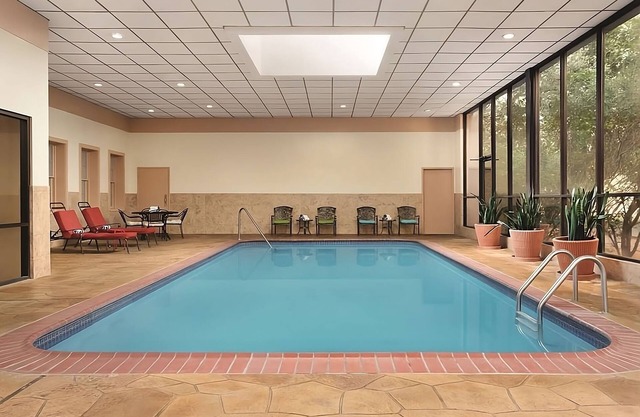 Relax and Unwind! Pool, Free Parking, Near Modern Art Museum of Fort Worth