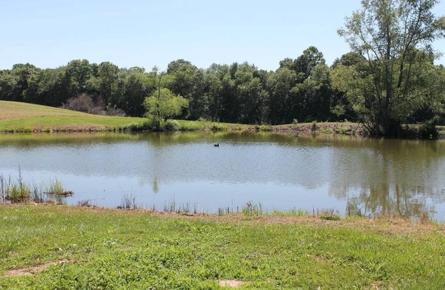 Relax at Pond View Loft—your cozy barn-top retreat with pond views, fires, and fishing fun.