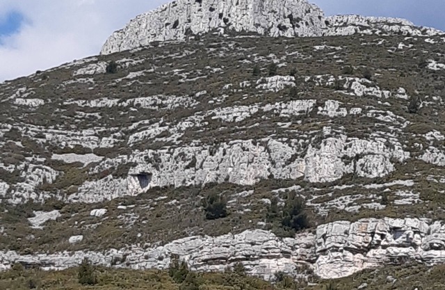 Relax by the pool and the sound of cicadas .
