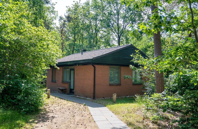 Relax & Unwind in Putten